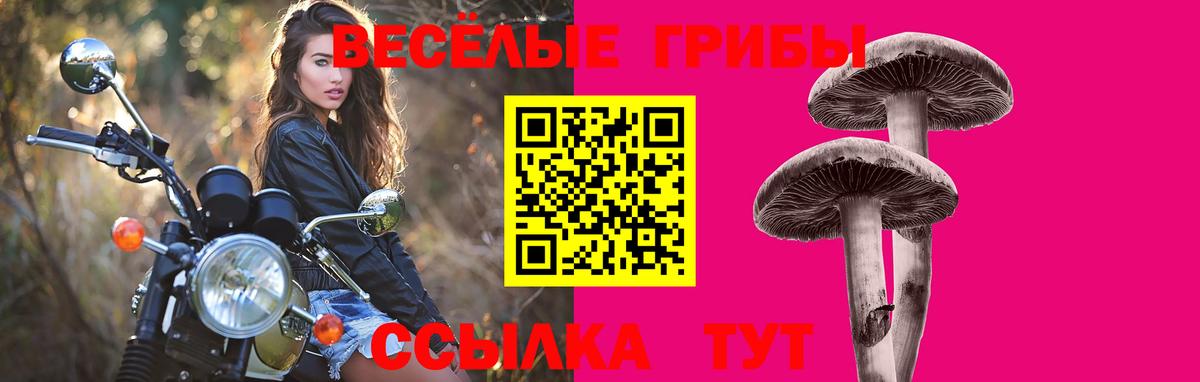 Карпинск  Псилоцибиновые грибы Psilocybine cubensis  Псилоцибиновые грибы мицелий  сколько стоит  Вход с VPN 